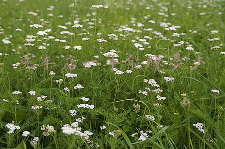 现在洗车店赚钱吗(洗车能赚钱吗)
