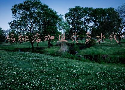 鸡排加盟店10大品牌，鸡排加盟店10大品牌哪个好