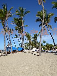 土豪鸡排加盟-土豪鸡排加盟费骗局