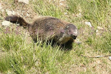 上海上豪大厦：上豪大厦