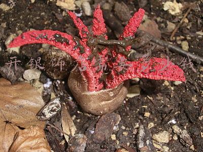 开一家小的银饰店多少钱-开一个银饰品店需要多少钱