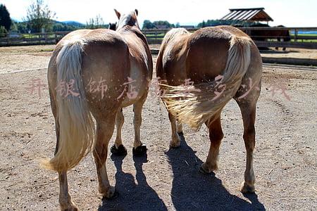 周六福银饰旗舰店《周六福有没有卖银首饰》