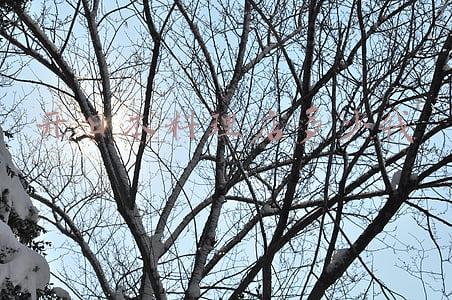 日本加盟日式料理店：日本料理加盟店价格