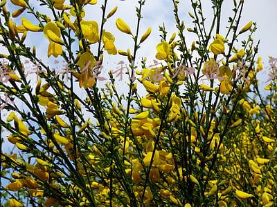 喜洋洋便利店加盟费多少钱（喜洋洋便利店加盟费多少.听听真实经历）