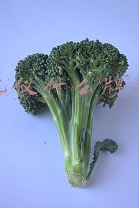 导航仪什么牌子好