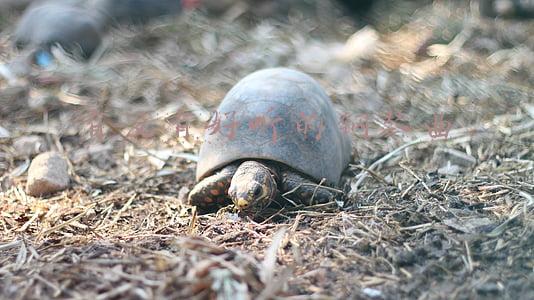 有没有好听的钢琴曲
