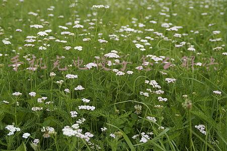 手机充电慢了怎么解决