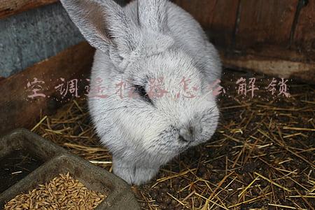 空调遥控器怎么解锁