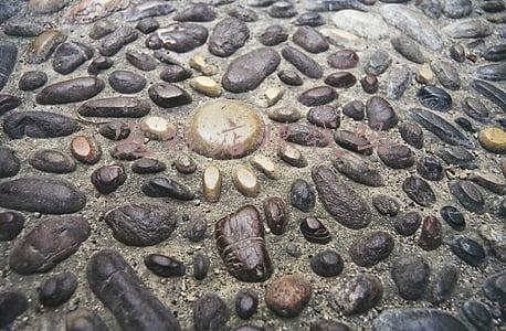 梦幻西游开宠物店赚钱吗(梦幻西游：低门槛开师门店思路，教你快速起步，轻松突破千万收入)