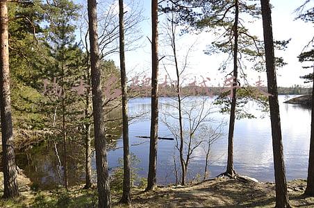 瑞士名牌机械手表