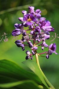 干洗店刷鞋一般多少钱《干洗店刷鞋多少钱啊》