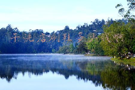 干洗店刷鞋一双多少钱，干洗店刷鞋一般多少钱