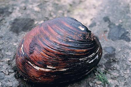 如何做兼职赚钱