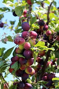 理发店拉直头发要多少钱-理发店拉直头发多少钱