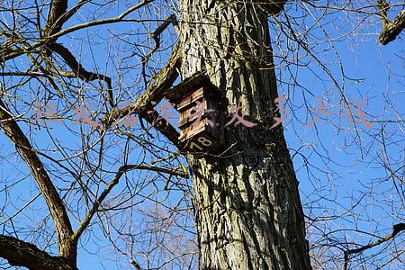 理发店染头发多少钱，自己带染发膏去理发店染头发多少钱