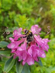 一般理发店软化头发多少钱-理发店软化头发多少钱