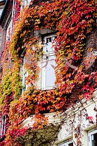 理发店接头发多少钱(理发店接头发大概多少钱)