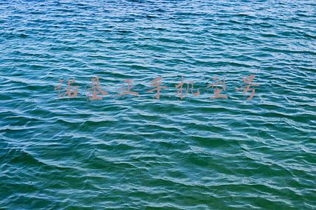 诺基亚手机型号