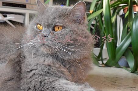 沙宣洗发水价格表400ml(VS 沙宣 修护水养 洗发水 400ml30元)