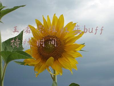 王者荣耀 红蓝buff刷新间隔时间(上单如何通过计算野怪和兵线的刷新时间来成功守塔5分钟？)