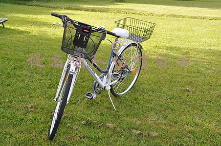 提高团队协作能力