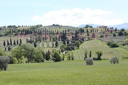 双卡双待手机推荐