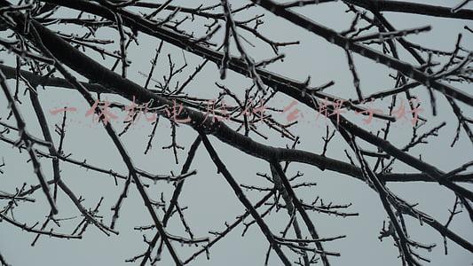 一体机电脑什么牌子好