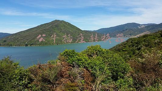 公牛插座转换器