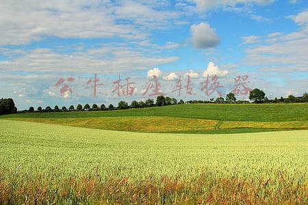 公牛插座转换器安全吗(外出旅行或居家必备“良品” 公牛旅行者转换器评测)