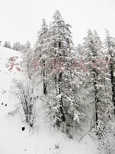 4s店报价可以砍价多少英朗-4s店报价可以砍价多少