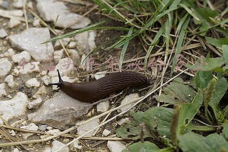 4s店买车怎么砍价 4s店买车怎么砍价砍到最低