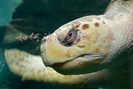 如何消除考试紧张