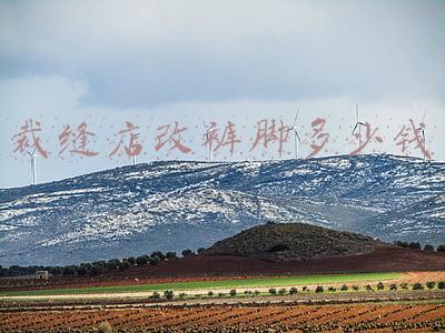 裁缝店改裤脚的价格表（裁缝店改裤脚多少钱厦门）