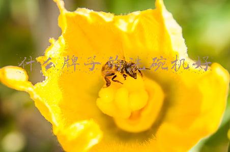 什么牌子的洗碗机好