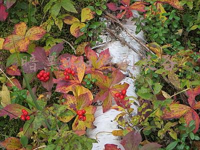 暗黑三单机怎么刷装备(暗黑2如何最快速地获取装备？赌博之前必备的前提都有什么？)