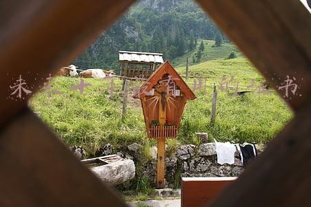 未来十年最有用的证书