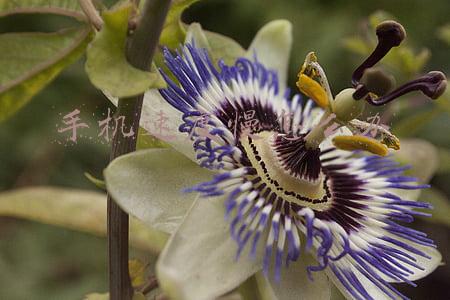 手机速度慢怎么办