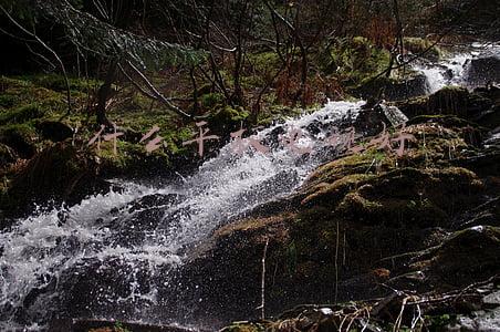 什么平板电视好