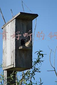 有没有好听的钢琴曲