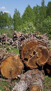 华为老年人专用手机(华为发布百元新机，针对老年人市场，鸿蒙OS+5000毫安仅999元)