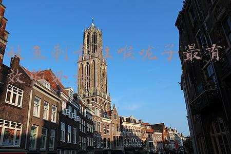 被鱼刺卡住喉咙了最有效的办法