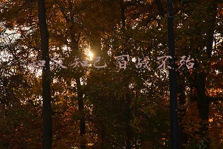 知彼知己百战不殆