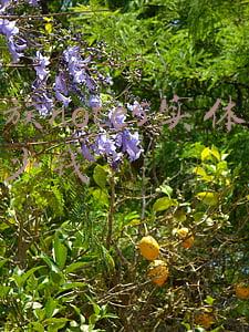 魅族note5实体店多少钱