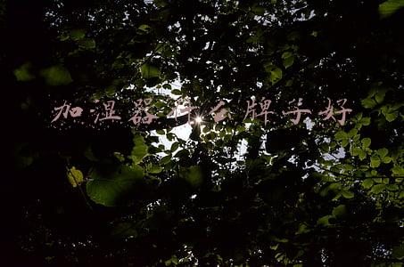 加湿器什么牌子好