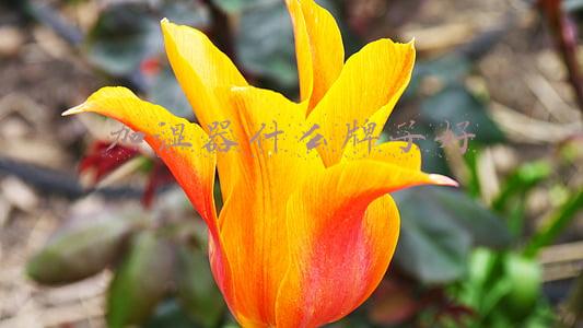 加湿器什么牌子好