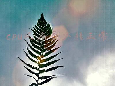 cpu风扇多少转正常