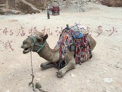 4s店换机油机滤多少钱：4s店机油机滤价格