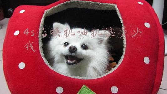 汽车换机油机滤多少钱，汽车换机油机滤多少钱一次