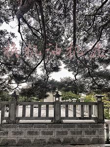 汽车保养换机油机滤多少钱 汽车保养更换机油机滤多少钱