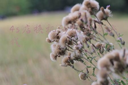 汽车机油机滤价格；汽车机油机滤价格多少